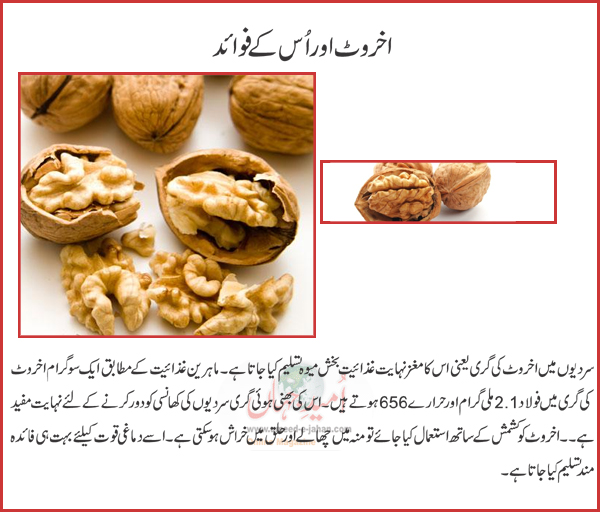 Walnut Health Benefits In Urdu