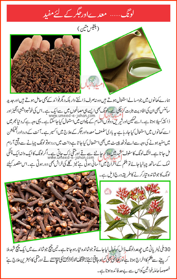 Cloves benefits In Urdu