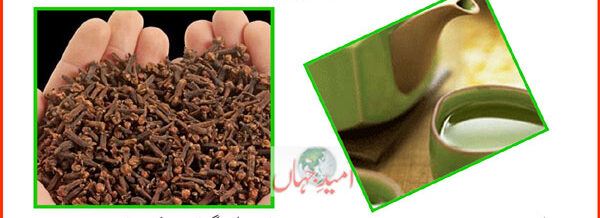 Cloves benefits In Urdu