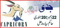 capricorn horoscope
